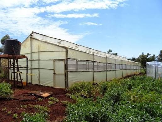 Greenhouse under construction